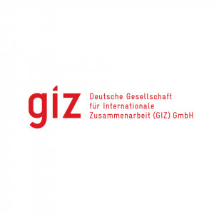 The Deutsche Gesellschaft für Internationale Zusammenarbeit (GIZ) GmbH